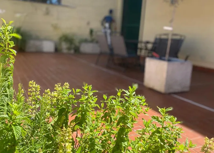 Апартаменты Terrazza Flaminia